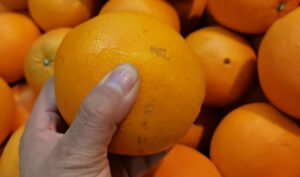 5 Mẹo Chọn Cam Ngọt , bạn có thể áp dụng 5 mẹo