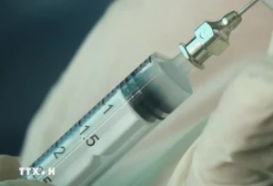 Tóm lại, vụ việc bị đâm kim tiêm vào đùi học sinh